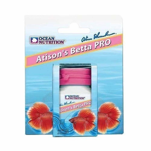 betta nutrition