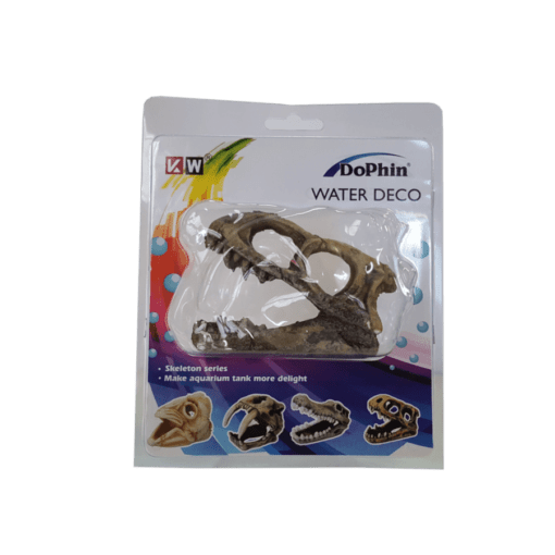 Dophin T-Rex Head Skeleton