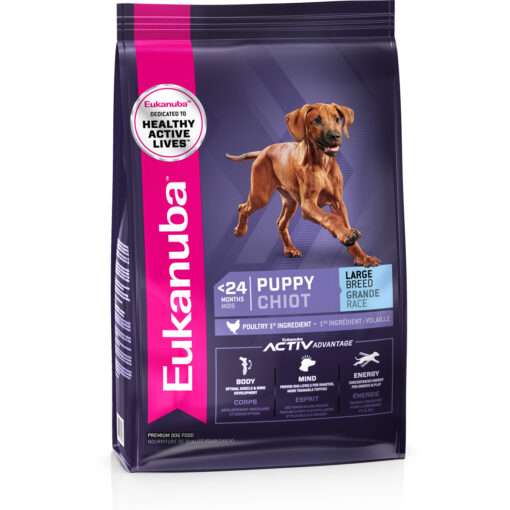 Eukanuba Puppy Large Breed Chicken