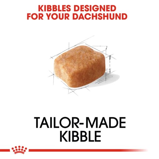 Royal Canin Dachshund Adult - Image 3