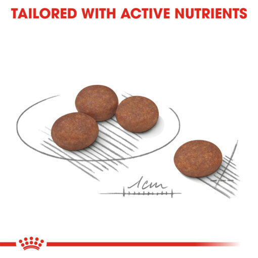 Royal Canin Mini Digest Care 3kg - Image 3