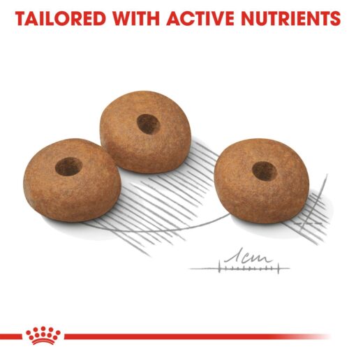 Royal Canin Mini Light Weight care 3kg - Image 3