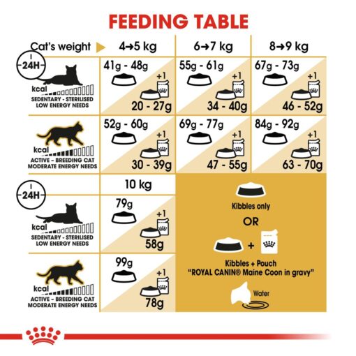 Royal Canin Maine Coon Adult 4kg - Image 2