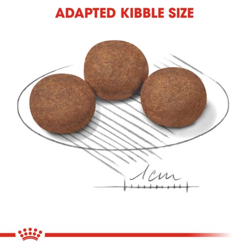 Royal Canin Medium Puppy - Image 3