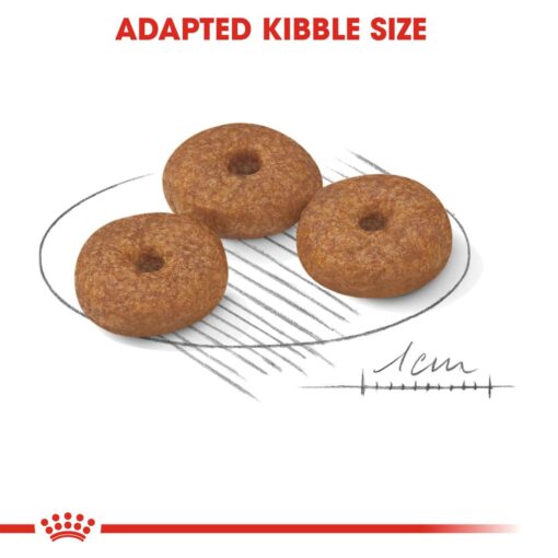 Royal Canin Mini Ageing 12+ 1.5kg - Image 3