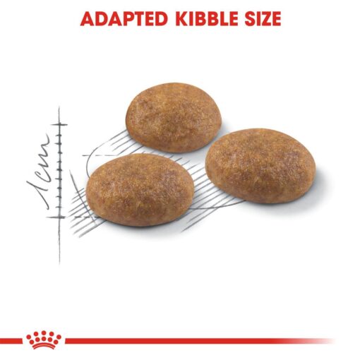 Royal Canin Outdoor 2kg - Image 3