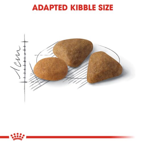 Royal Canin Savour Exigent - Image 3