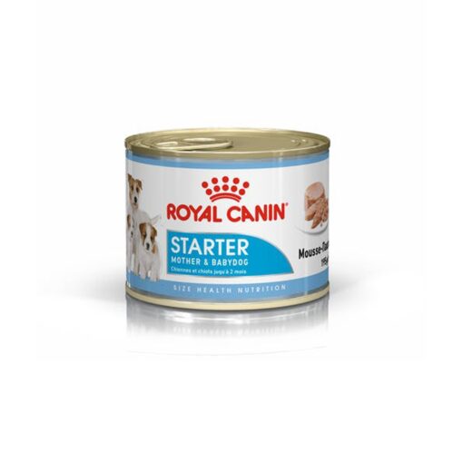 Royal Canin Starter Mousse Can 12 x 195g