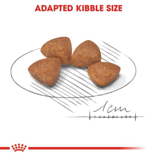 Royal Canin X-Small Puppy 1.5kg - Image 3