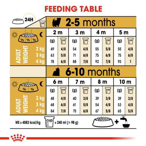 Royal Canin Yorkshire Puppy (Junior) 500g - Image 2