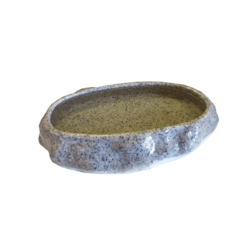 Repti Water Dish Small - Local
