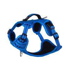 Rogz Utility Explore Dog Harness -  Blue