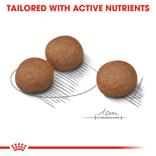 Royal Canin Digestive Care Medium - Image 2