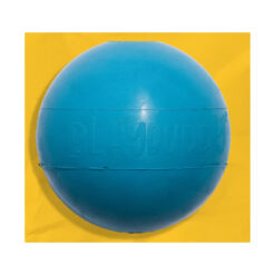 PlayBuddy Ball Blue