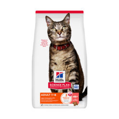 Hill's SP Adult Dry Cat Food - Salmon